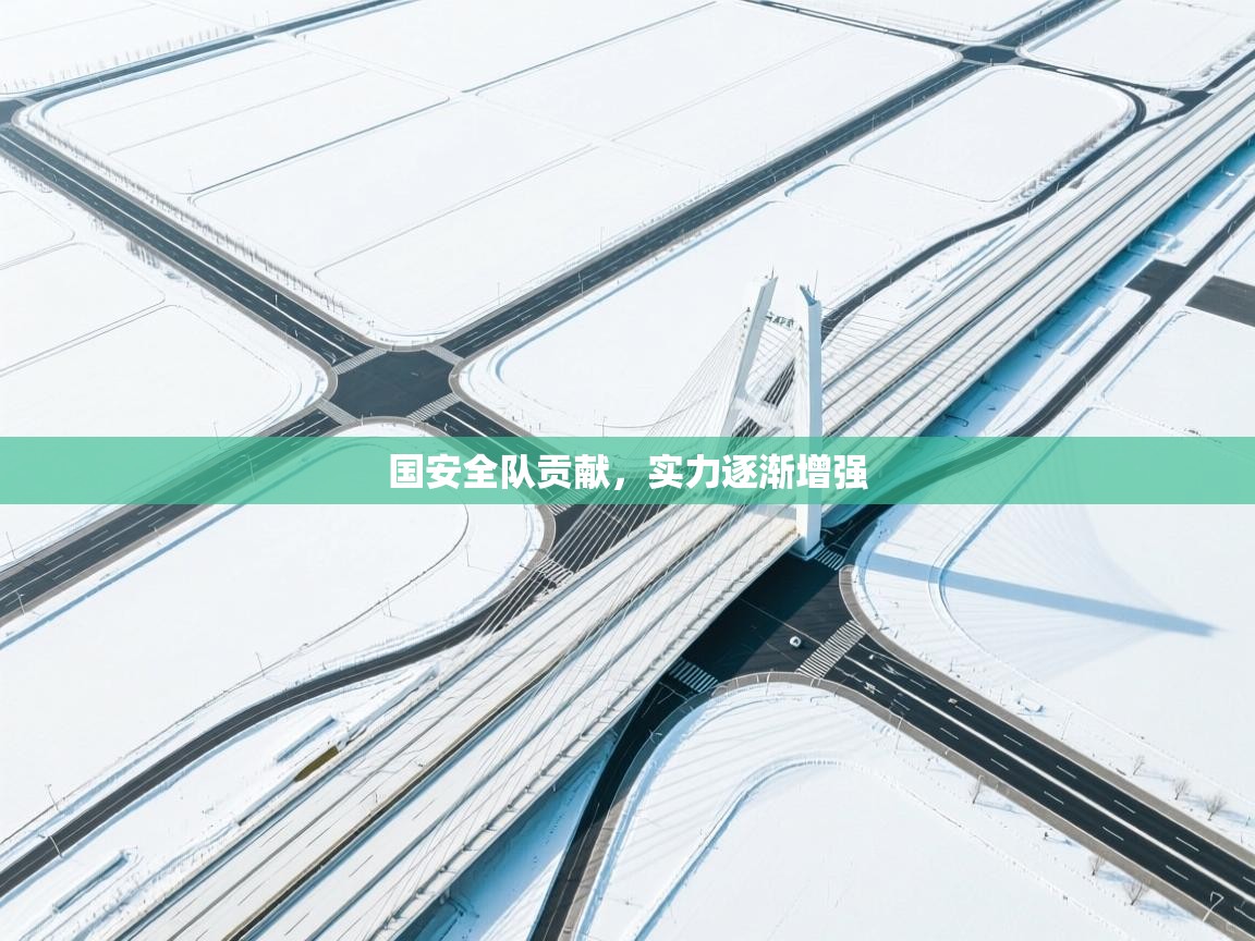 国安全队贡献，实力逐渐增强  第2张
